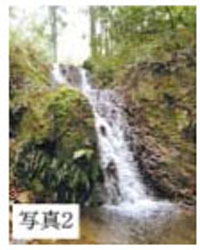 写真2