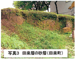 写真3 田楽層の砂層(田楽町)