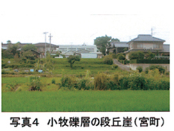 写真4 小牧礫層の段丘崖(宮町)