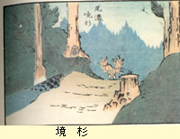 境杉