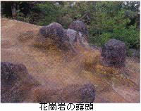 花崗岩の露頭
