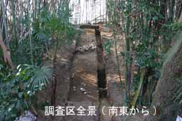 調査区全景