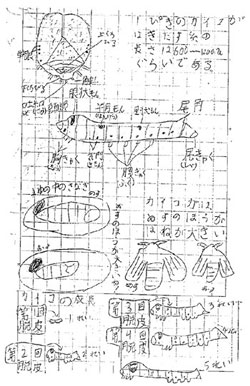 自学ノート