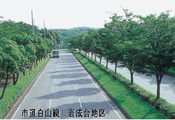 市道白山線岩城合地区