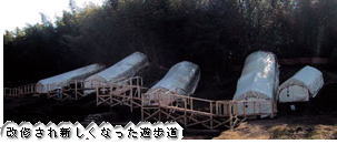 改修され新しくなった遊歩道