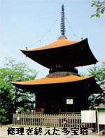 修理を終えた多宝塔