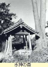 水神の森