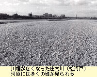 川幅が広くなった庄内川