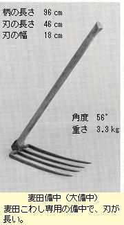 麦田備中