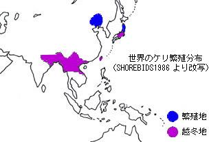 ケリの分布
