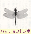 ハッチョウトンボ