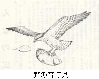 鷲