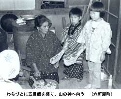 やまのこ