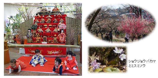 ひな祭りと梅園