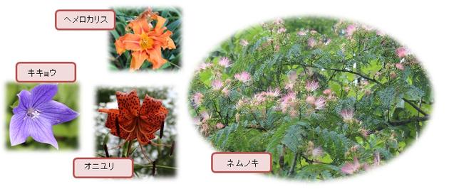 万葉苑の花