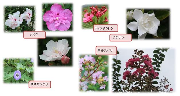 ショウブ池東側丘