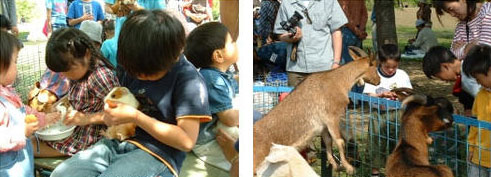 移動動物園