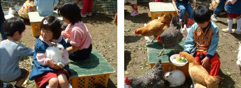 移動動物園