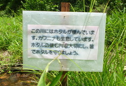 啓発看板