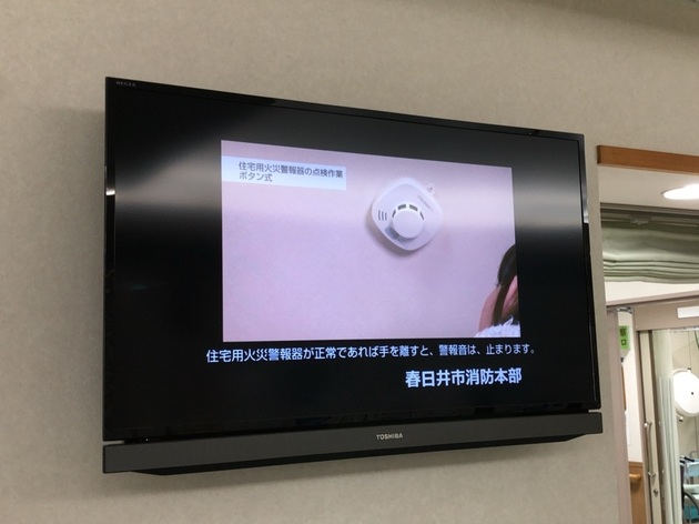 動画