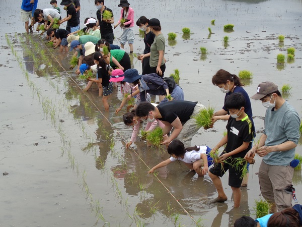 田植え(前半)