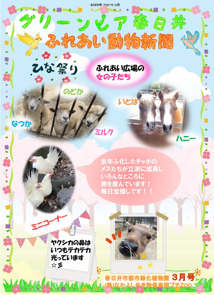 写真：動物新聞2025年3号　表紙