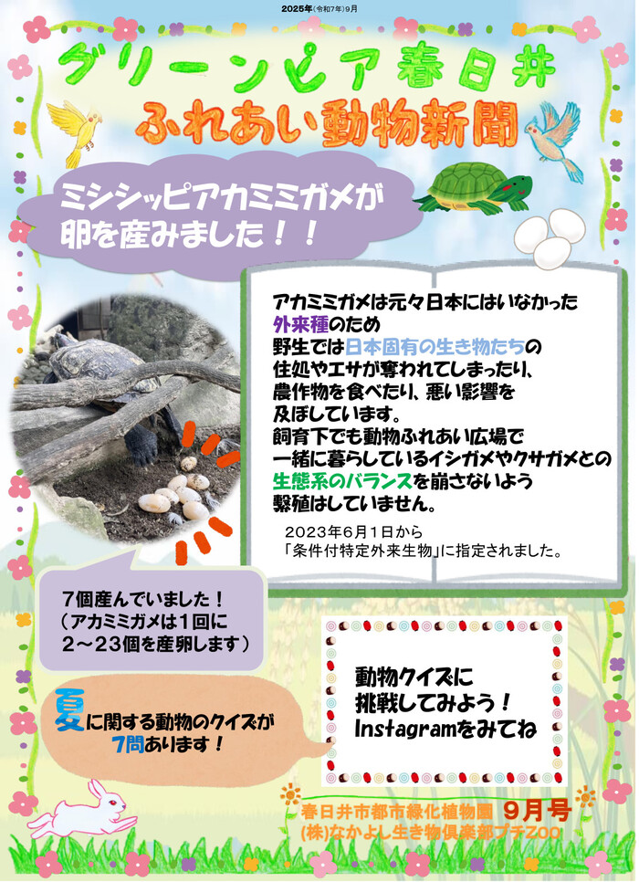 写真：動物新聞2025年9号　表紙(JPEG)