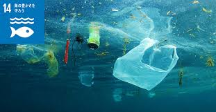 プラスチック写真1