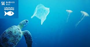 プラスチック写真3