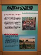 写真3