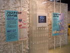 写真6