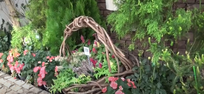 植替ガイドツアー