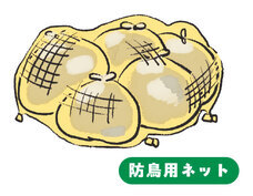 防鳥用ネット
