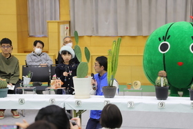 写真1