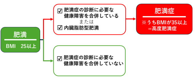 肥満症のフロー