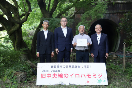 愛岐トンネル群のイロハモミジを天然記念物に指定